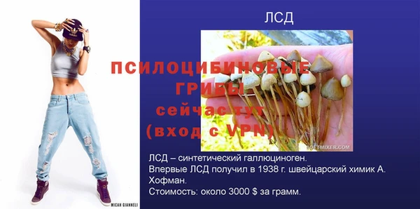стаф Зеленокумск