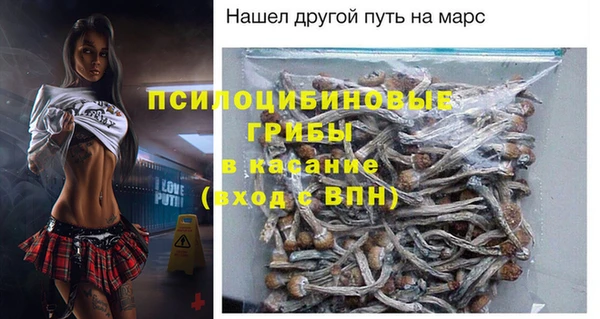 прущий лед Богородск